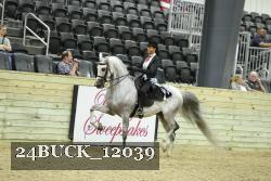 24BUCK_12039 thumbnail