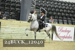 24BUCK_12040 thumbnail