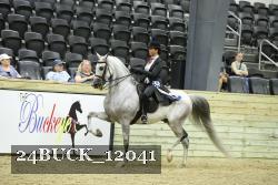24BUCK_12041 thumbnail