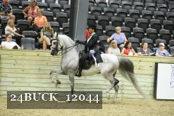 24BUCK_12044 thumbnail
