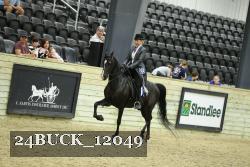 24BUCK_12049 thumbnail