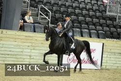 24BUCK_12051 thumbnail