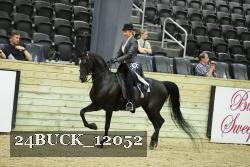 24BUCK_12052 thumbnail