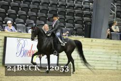 24BUCK_12053 thumbnail