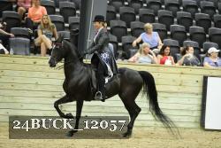 24BUCK_12057 thumbnail