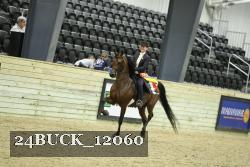 24BUCK_12060 thumbnail