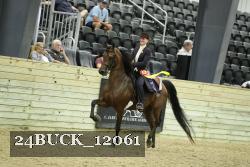 24BUCK_12061 thumbnail