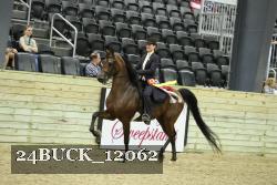 24BUCK_12062 thumbnail