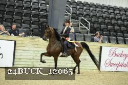 24BUCK_12065 thumbnail