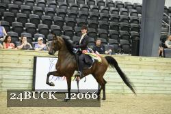 24BUCK_12066 thumbnail