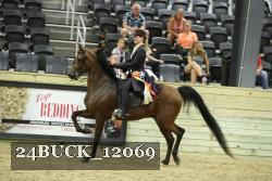 24BUCK_12069 thumbnail