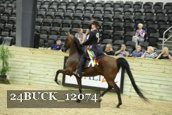 24BUCK_12074 thumbnail