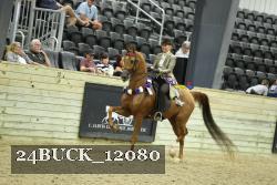 24BUCK_12080 thumbnail