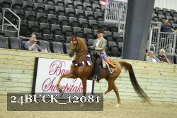 24BUCK_12081 thumbnail