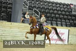24BUCK_12082 thumbnail