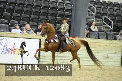 24BUCK_12083 thumbnail