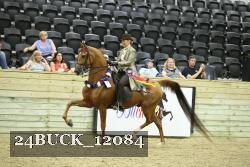24BUCK_12084 thumbnail