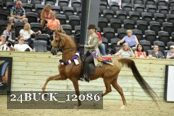 24BUCK_12086 thumbnail