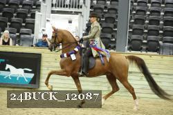24BUCK_12087 thumbnail