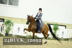 24BUCK_12092 thumbnail