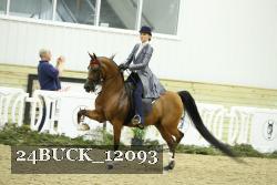 24BUCK_12093 thumbnail