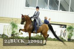 24BUCK_12094 thumbnail