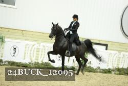 24BUCK_12095 thumbnail