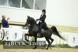 24BUCK_12096 thumbnail