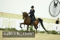 24BUCK_12097 thumbnail