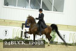 24BUCK_12098 thumbnail