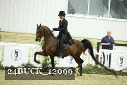 24BUCK_12099 thumbnail