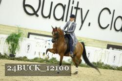 24BUCK_12100 thumbnail