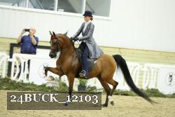 24BUCK_12103 thumbnail
