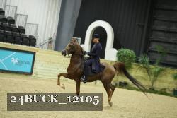 24BUCK_12105 thumbnail