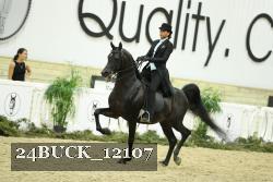 24BUCK_12107 thumbnail