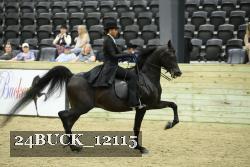 24BUCK_12115 thumbnail