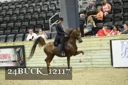 24BUCK_12117 thumbnail
