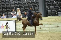 24BUCK_12118 thumbnail