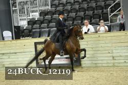24BUCK_12119 thumbnail