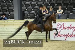 24BUCK_12121 thumbnail
