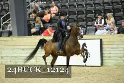 24BUCK_12124 thumbnail