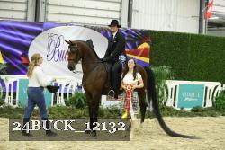 24BUCK_12132 thumbnail