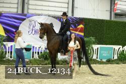 24BUCK_12134 thumbnail