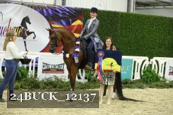 24BUCK_12137 thumbnail