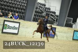 24BUCK_12139 thumbnail