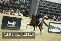 24BUCK_12140 thumbnail