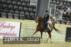 24BUCK_12141 thumbnail
