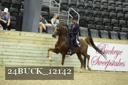 24BUCK_12142 thumbnail