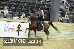 24BUCK_12143 thumbnail