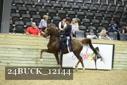 24BUCK_12144 thumbnail